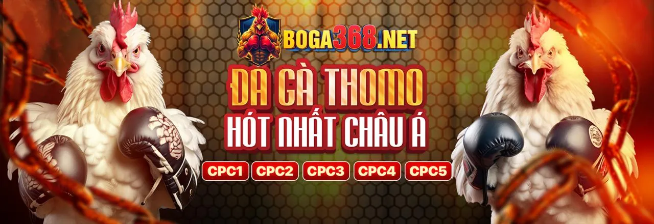 Khuyến mãi Đá Gà 8ki Casino